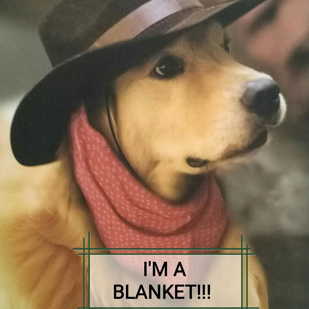 Safdie & Co Labrador Cowboy Micro Mink Throw Blanket NWT